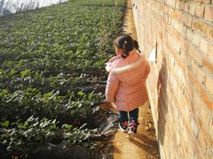 -昌平兴寿秀秀草莓采摘园