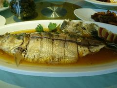 清蒸鲥鱼-圆苑(上海广场店)