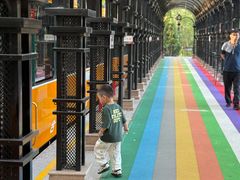 -合肥滨湖国家森林公园