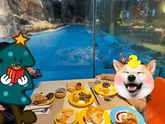 -帝企鹅自助餐厅•儿童岛•真企鹅(长隆企鹅酒店)