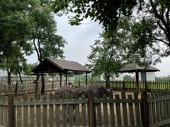 -东海森林温泉度假酒店