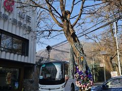 -丽泽山庄·生态怀柔菜·虹鳟鱼(红螺寺店)