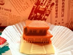 -北京稻香村(零号店)