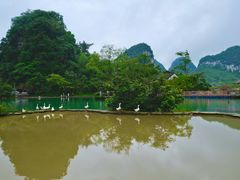 -靖西鹅泉风景区