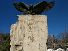 -北京鹫峰国家森林公园