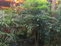 -时间仓(月湖公园店)