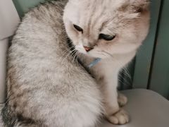 -小时光咖啡馆(北锣鼓巷店)