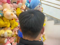 -YESIDO椰岛造型