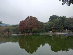 -广州市白云山风景名胜区