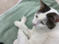 -佳雯宠物医院·皮肤科·内外科(春晓路分院)