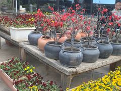 -瓦库茶馆17号(海汇港店)