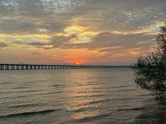 -宝安西湾红树林湿地公园