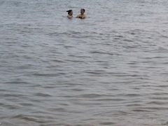 -碣石国家级海洋公园