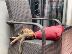 -EATALIA意塔利意式餐厅(鼓楼店)