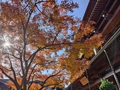 -香积寺