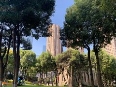 -重庆市江北嘴中央商务区中央公园