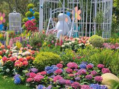 -上海共青森林公园