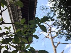 -朱家花园