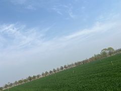 -黄河富景生态世界