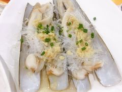 爱尔兰圣子皇-蚝专家(北滘店)