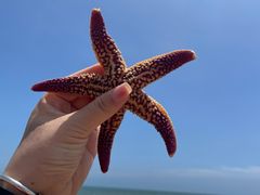 -日照灯塔风景区