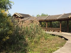 -大湾区中央湿地公园