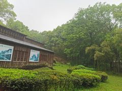 -龙游石窟