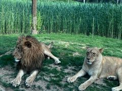 -北京野生动物园