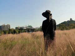 -王借岗森林公园