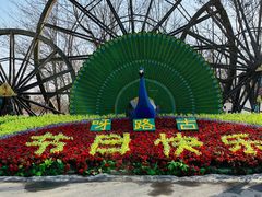 -呀路古热带植物园