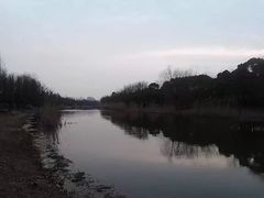 -新江湾城公园