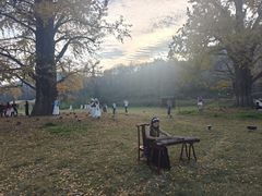 -千年银杏谷文化旅游区