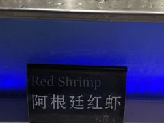 阿根廷红虾-SEA西雅图海鲜自助餐厅(正义店)