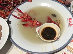 -杨氏青龙虾·羊蝎子(托乐嘉店)