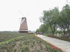 -漩门湾国家湿地公园