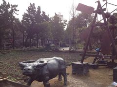 自耕地-朱家角课植园