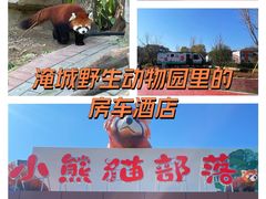 -常州淹城野生动物世界