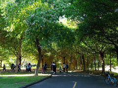 -华南理工大学(大学城校区)