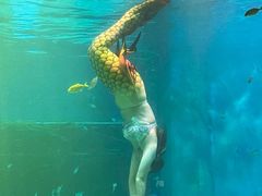 -海合安青岛极地海洋公园