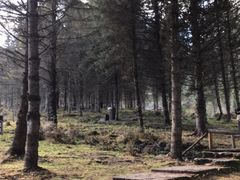 -硗碛藏寨·神木垒景区