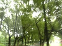 -雨花胜境