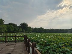 -廊坊市自然公园