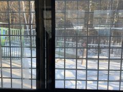 -横道河子东北虎林园