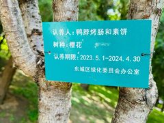 -地坛公园