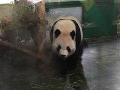 -无锡动物园·太湖欢乐园