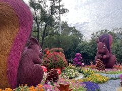 -广州市白云山风景名胜区