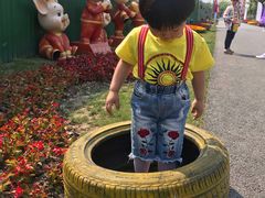 -菊园百果园