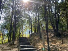 -火炉山森林公园