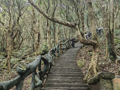 -梧桐山风景名胜区