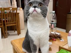-宠颐生宠物医院外科·内科·皮肤科·影像科(石龙店)
